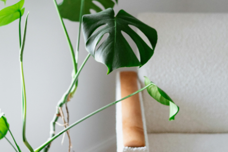 netdara-coaching-individuel---nantes-04